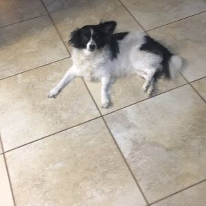 Meet your Posher, Jillian